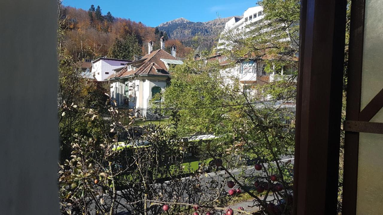 Pensiunea Casa Noastra Hotel Sinaia Bagian luar foto