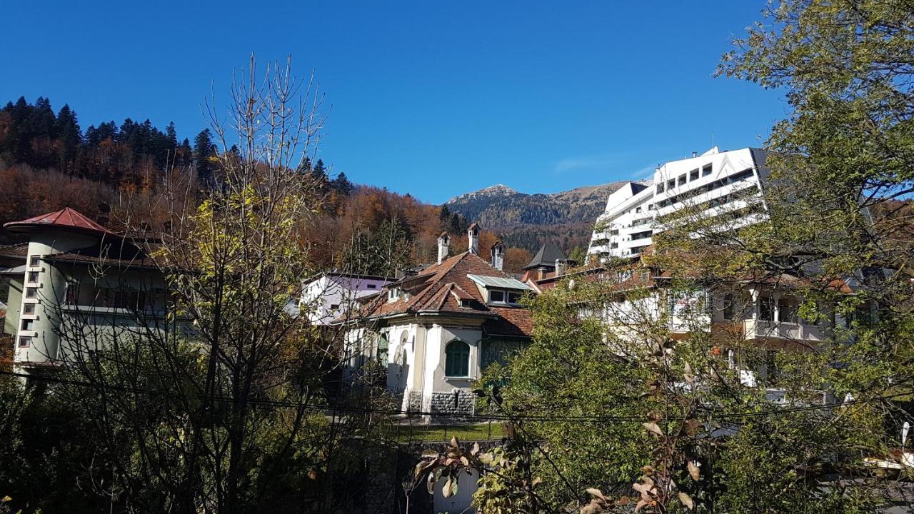 Pensiunea Casa Noastra Hotel Sinaia Bagian luar foto