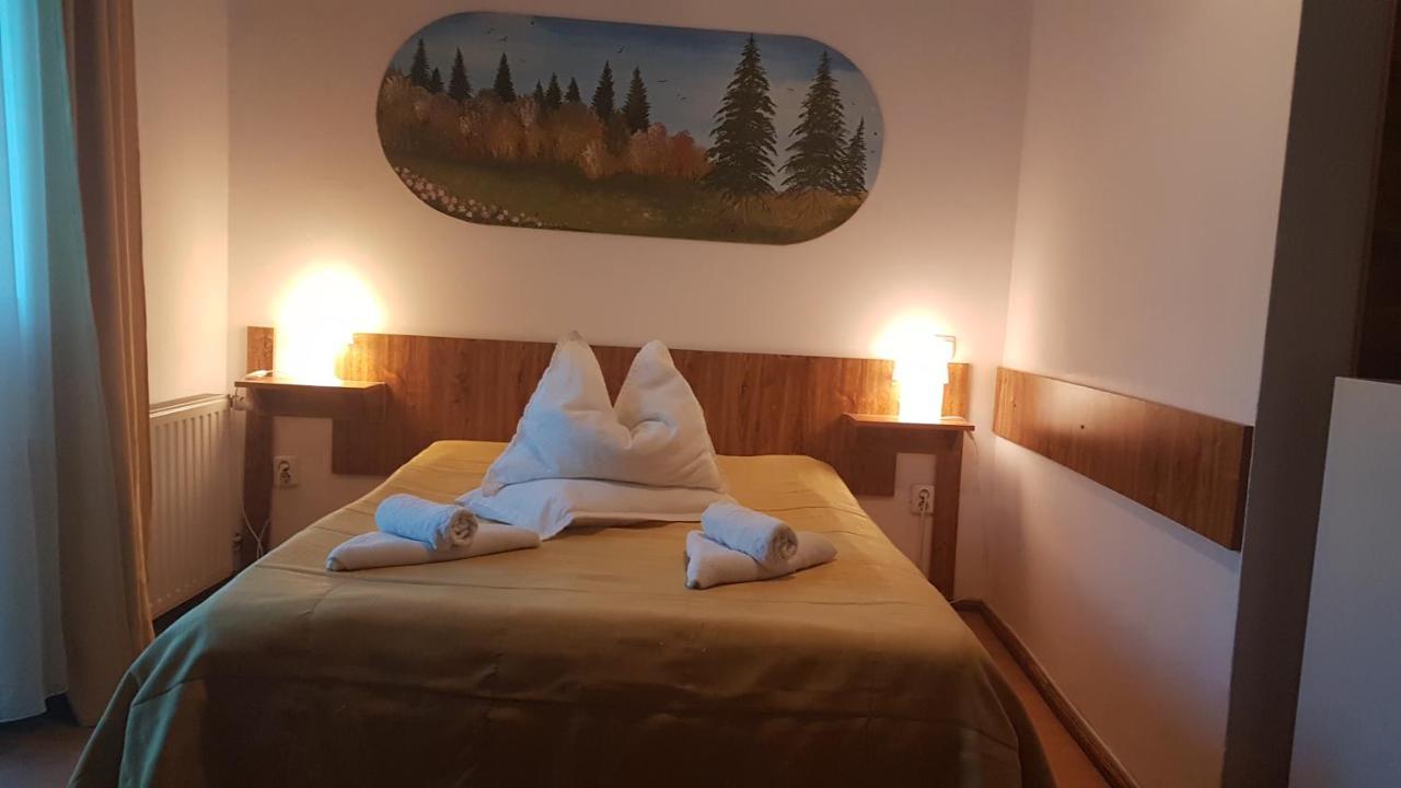 Pensiunea Casa Noastra Hotel Sinaia Bagian luar foto